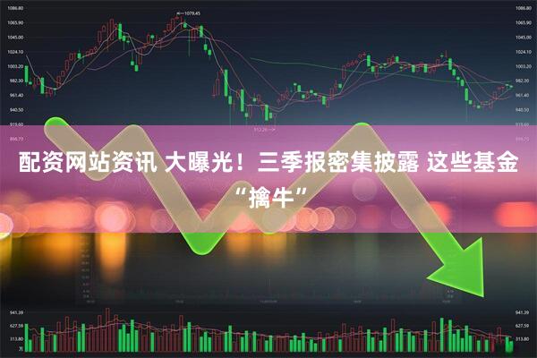 配资网站资讯 大曝光!三季报密集披露 这些基金“擒牛”