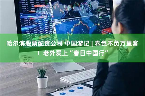 哈尔滨股票配资公司 中国游记 | 春色不负万里客！老外爱上“春日中国行”