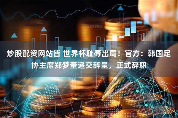 炒股配资网站皆 世界杯耻辱出局！官方：韩国足协主席郑梦奎递交辞呈，正式辞职